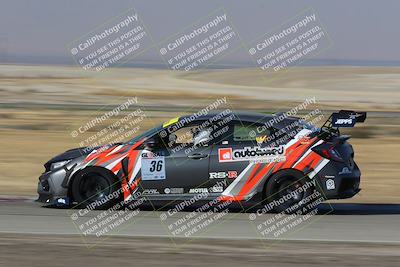 media/Nov-11-2023-GTA Finals Buttonwillow (Sat) [[117180e161]]/Group 3/Close Ups/